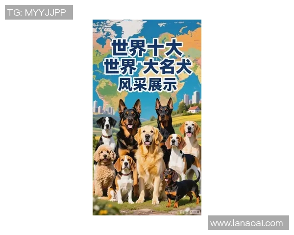 世界足球球星与他们的爱犬排名揭秘 哪位球员的宠物最具魅力 世界足球球星与他们的爱犬排名揭秘 哪位球员的宠物最具魅力