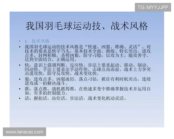 杭州羽毛球队配合表现的数据分析与战术研究探讨 杭州羽毛球队配合表现的数据分析与战术研究探讨
